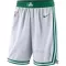 Boston Celtics Shorts Association Edition Swingman