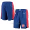 Detroit Pistons Shorts Icon Edition Swingman