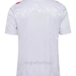 Danmark Bortatröja EM 2024