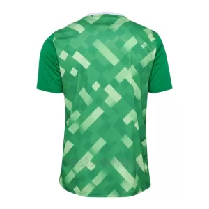 Danmark Målvakt Tröja EM 2024 Grön