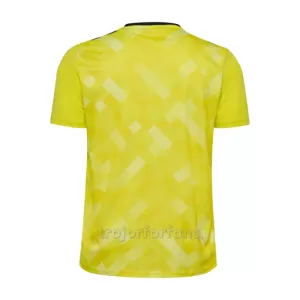 Danmark Målvakt Tröja EM 2024 Gul