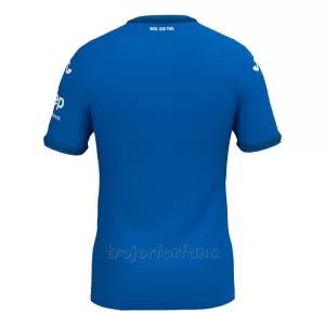 TSG 1899 Hoffenheim Hemmatröja 2024/25
