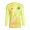 Skottland Målvakt Tröja EM 2024 Långärmad Gul