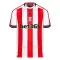Stoke City Hemmatröja 2024/25