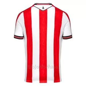 Stoke City Hemmatröja 2024/25