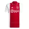 Ajax Amsterdam Hemmatröja 2024/25