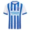 Brighton Hove Albion Hemmatröja 2024/25