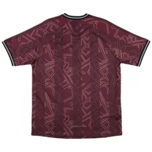 Danmark Tröja 2024/25 Speciell