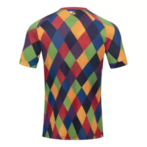 FSV Mainz 05 Tröja 2024/25 Speciell