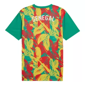 Senegal Pre-Match Tröja 2024/25