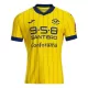 Hellas Verona Fjärdetröja 2024/25 Hellas Verona Fjärdetröja 2024/25
