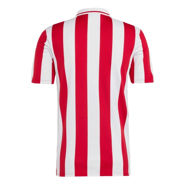Olympiakos 100th Tröja Årsjubileum 2024/25