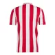 Olympiakos 100th Tröja Årsjubileum 2024/25