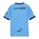 Kawasaki Frontale Hemmatröja 2025/26