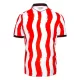 Stoke City Hemmatröja 2025/26