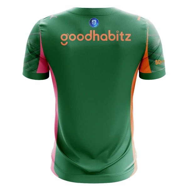 PSV Eindhoven Målvakt Tröja 2025/26 Grön