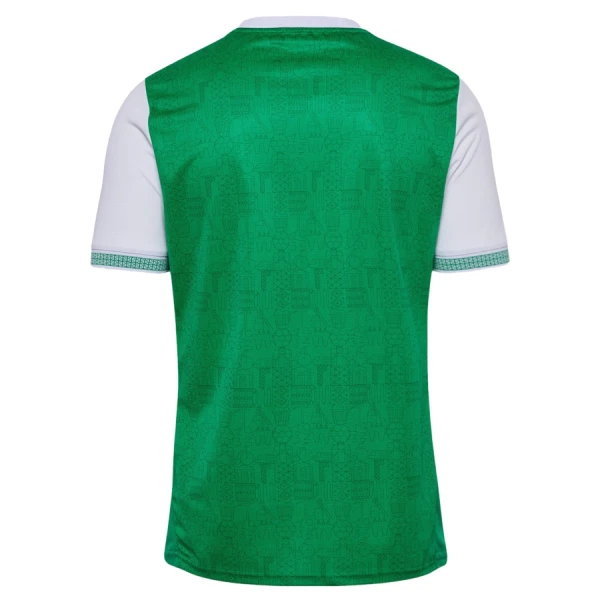AS Saint-Étienne Hemmatröja 2025/26