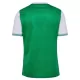 AS Saint-Étienne Hemmatröja 2025/26