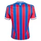 Crystal Palace Hemmatröja 2025/26