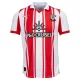 Southampton Hemmatröja 2025/26
