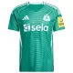 Newcastle United Bortatröja 2025/26