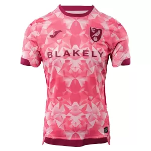 Norwich City Tredjetröja 2025/26