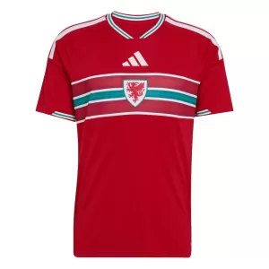 Wales Hemmatröja VM 2026
