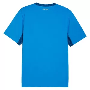 Island Hemmatröja VM 2026