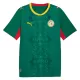 Senegal Bortatröja VM 2026