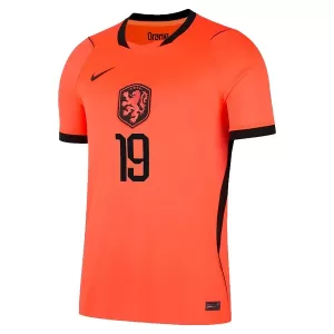 Holland Weghorst 19 Hemmatröja VM 2026