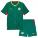 Senegal Bortatröja Barn VM 2026 Senegal Bortatröja Barn VM 2026