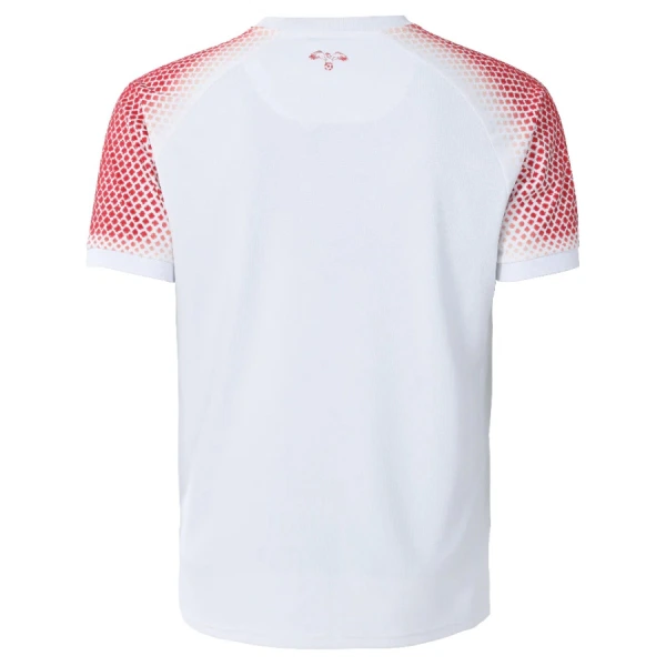 Hemmatröja Jordan VM 2026