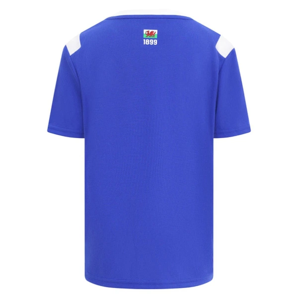 Cardiff City Hemmatröja 2026/27
