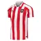 Sunderland Hemmatröja 2026/27