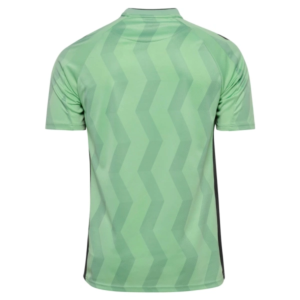 AS Saint-Étienne Tredjetröja 2026/27