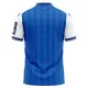 TSG 1899 Hoffenheim Hemmatröja 2026/27